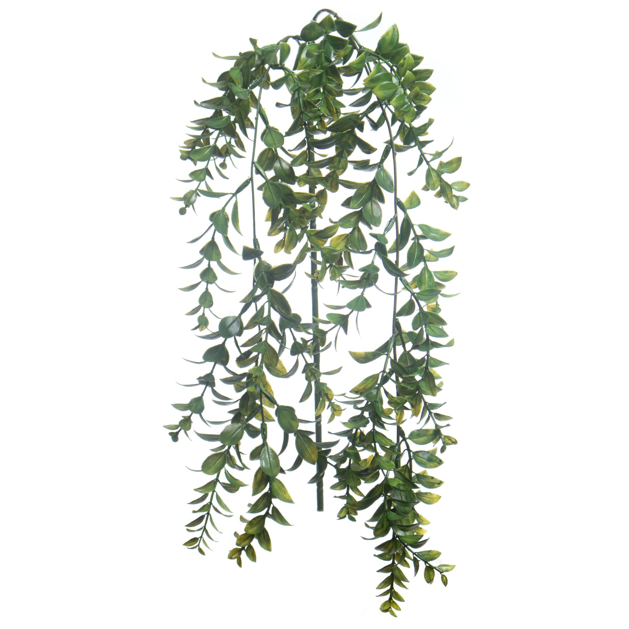 22" Dark Green Boxwood Hanging Stem by Ashland®